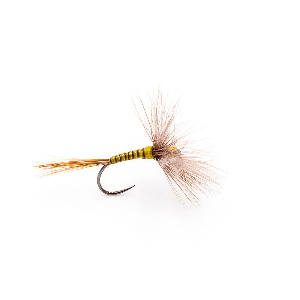 DEVAUX Dry Fly A4QC