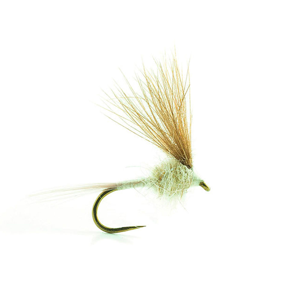 DEVAUX Fly Emerging ATE 3