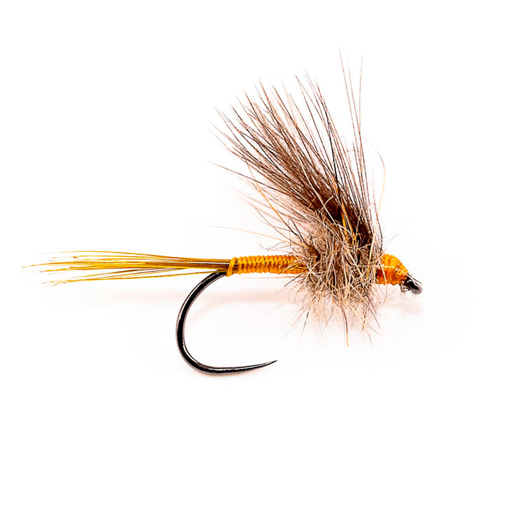 DEVAUX Fly Emerging ATE 9 by 3