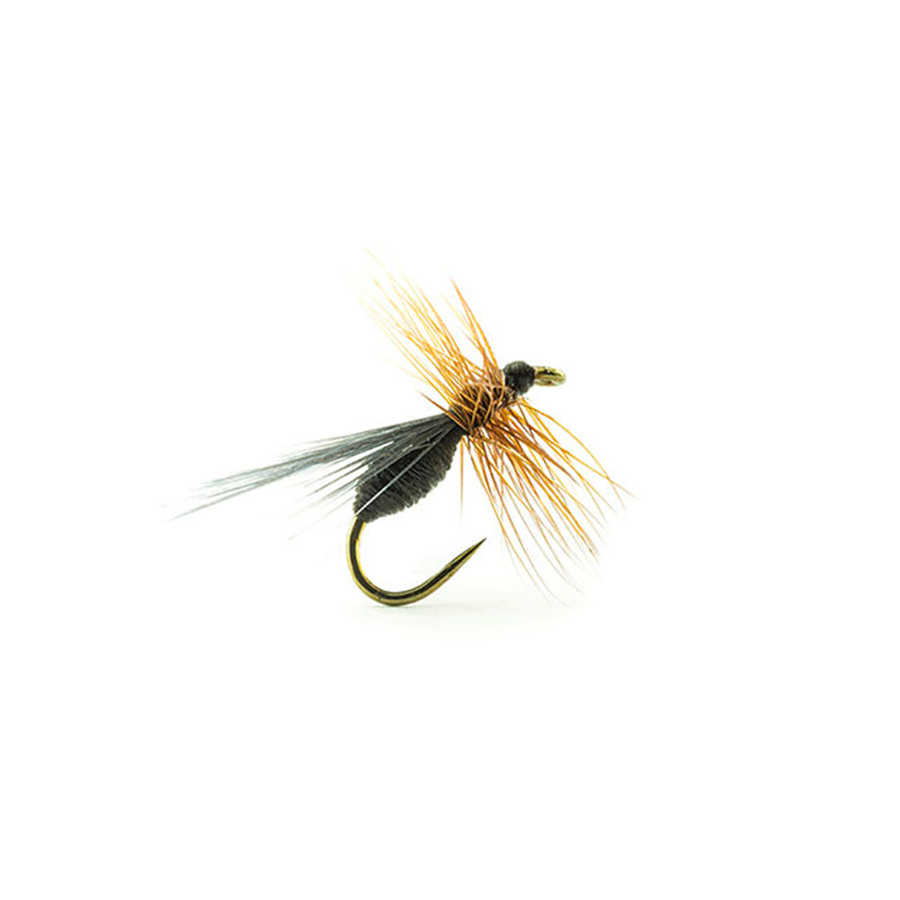 DEVAUX Fliege, Bodenameise B513