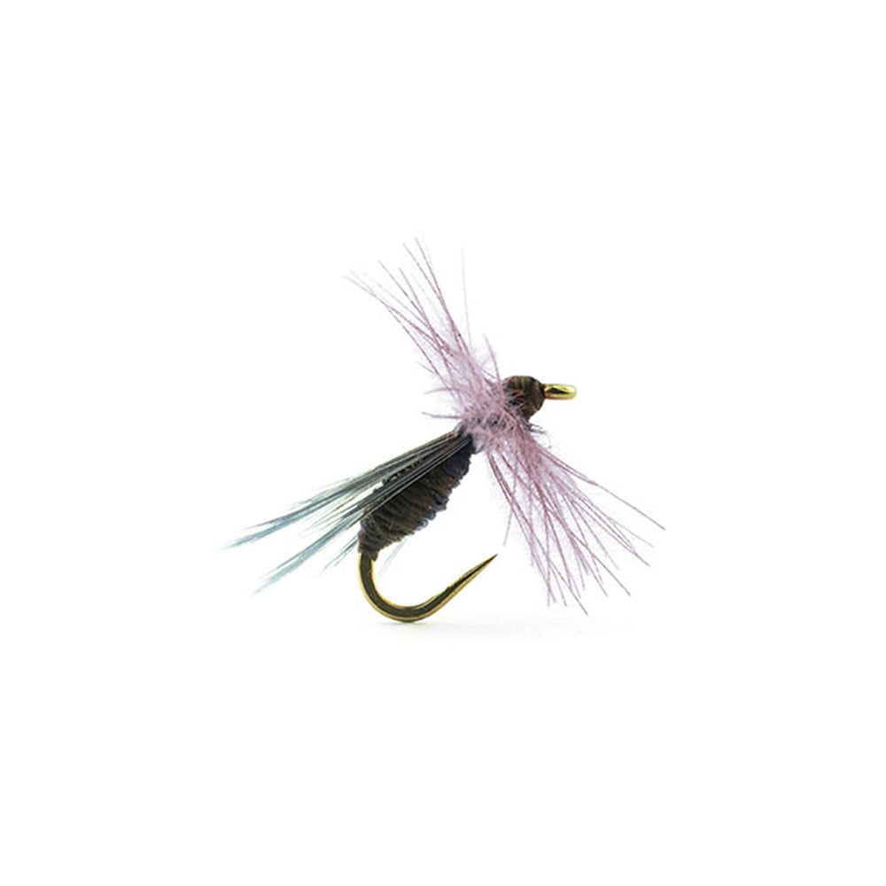 DEVAUX Fliege, Bodenameise B513C
