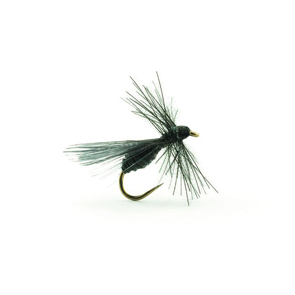 DEVAUX Fliege, Bodenameise, B527C