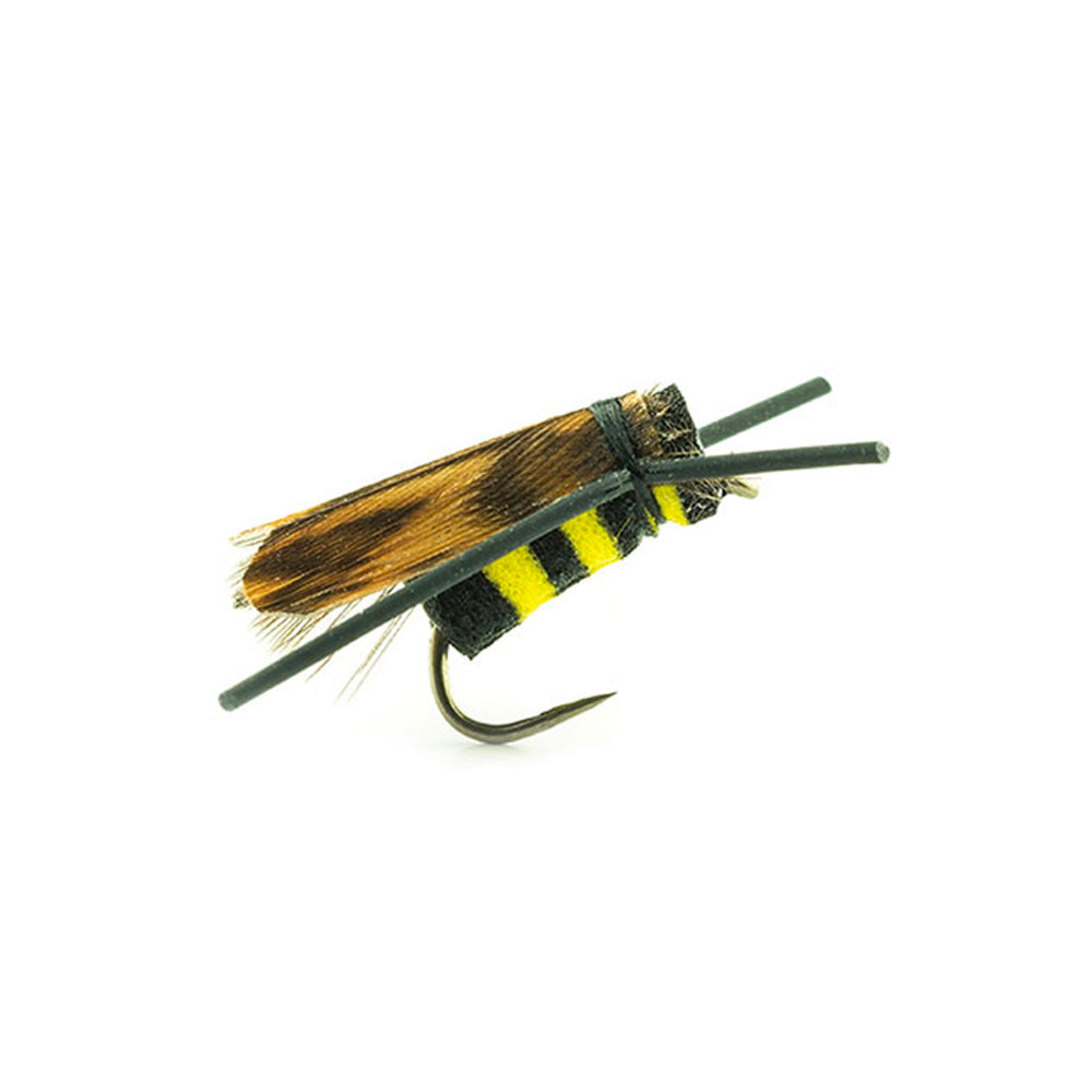 DEVAUX Fliegen-Bodenwespe BEE 01