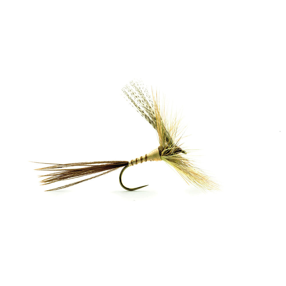 Mouche DEVAUX Séche C606