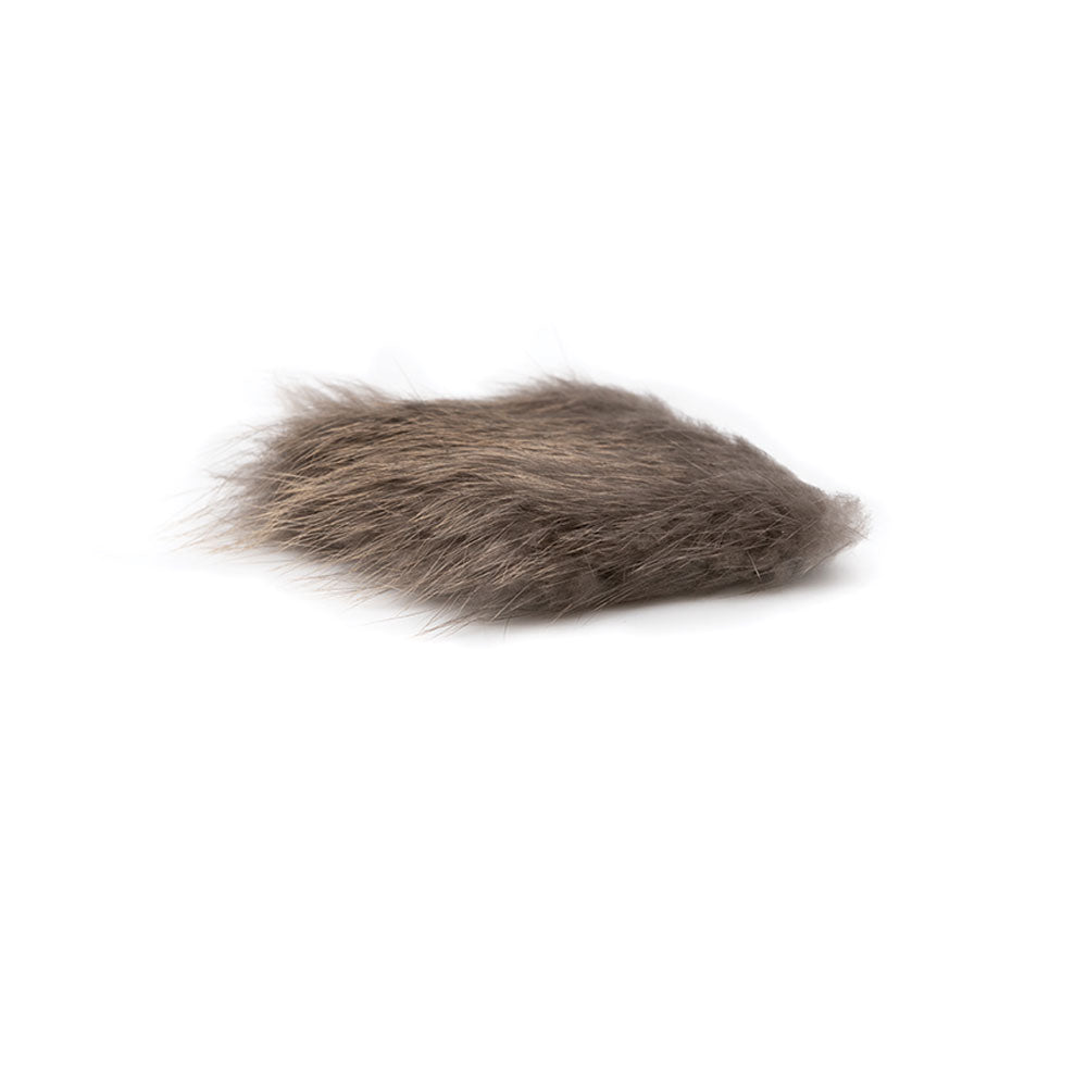 Castor DEVAUX