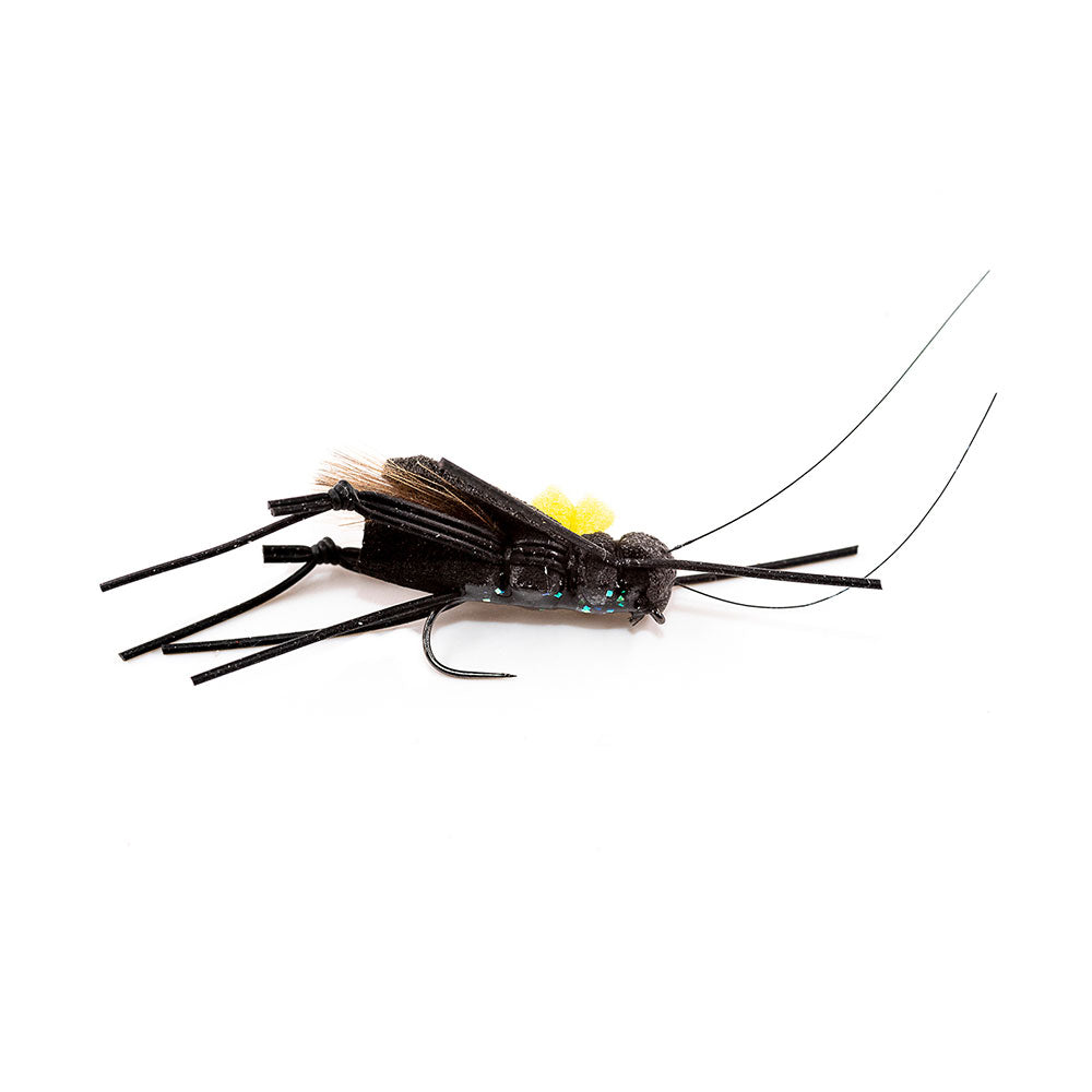 DEVAUX Ground Cricket Fly 02