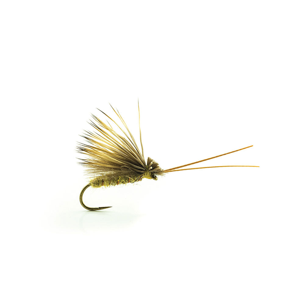 DEVAUX Seggenfliege ELK CDC01