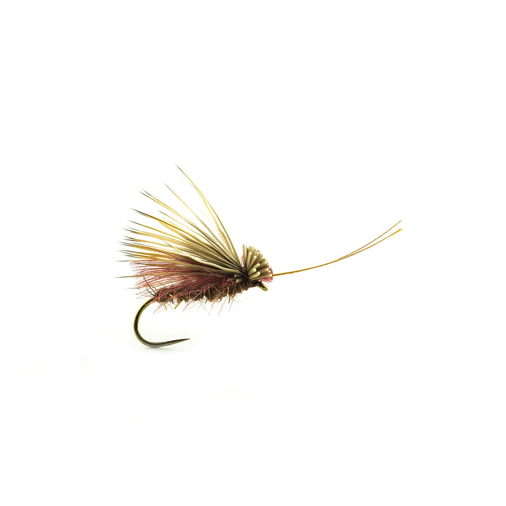 DEVAUX Segge ELK CDC04 Fliege