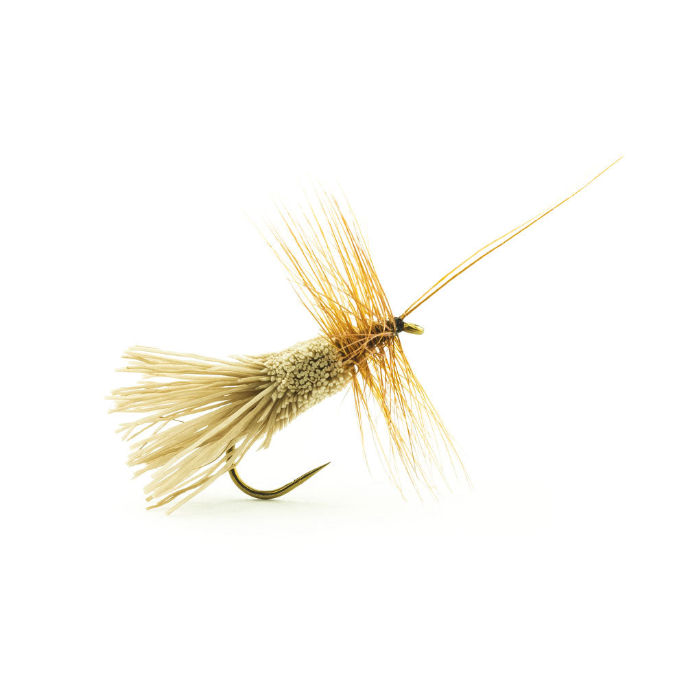 DEVAUX Segge GC Fliege