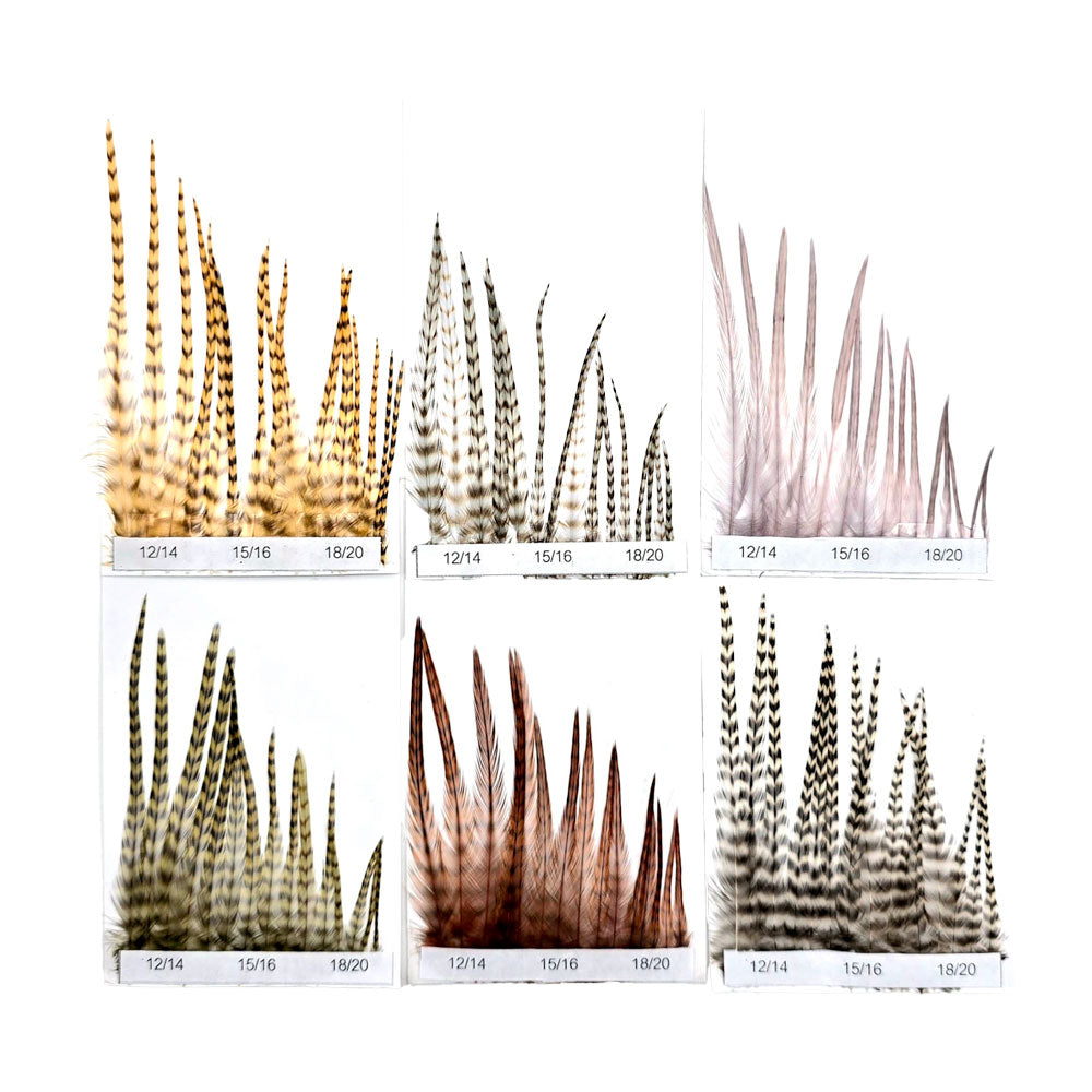 Hackles Génétic DEVAUX