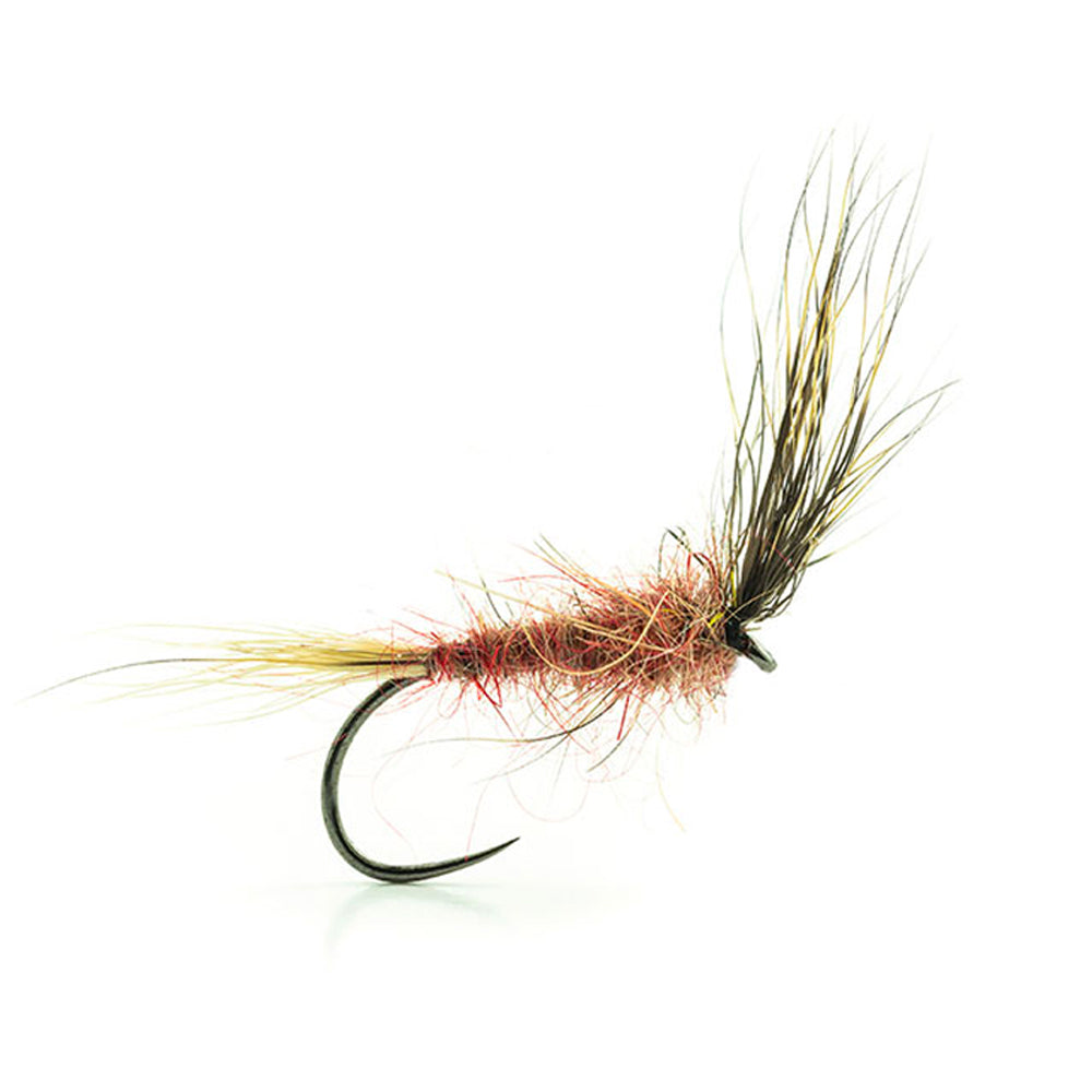 DEVAUX Fly Emerging HL 01
