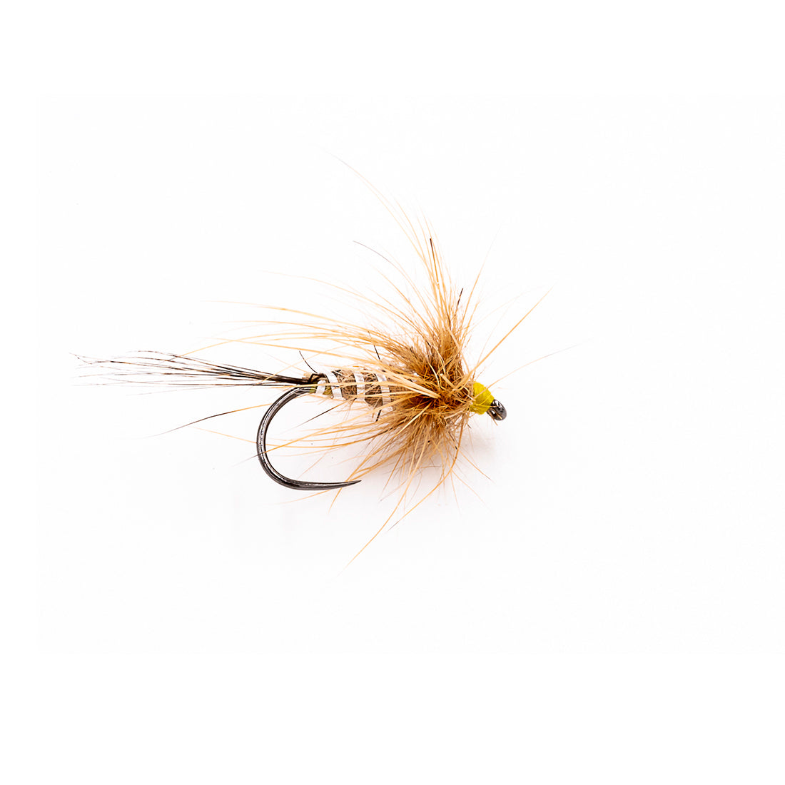 DEVAUX Fly Emerging HL 05