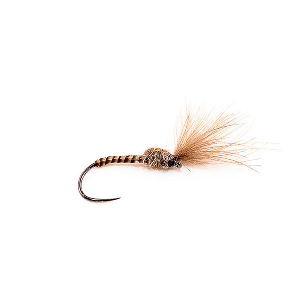 DEVAUX Fly Emerging HL 25