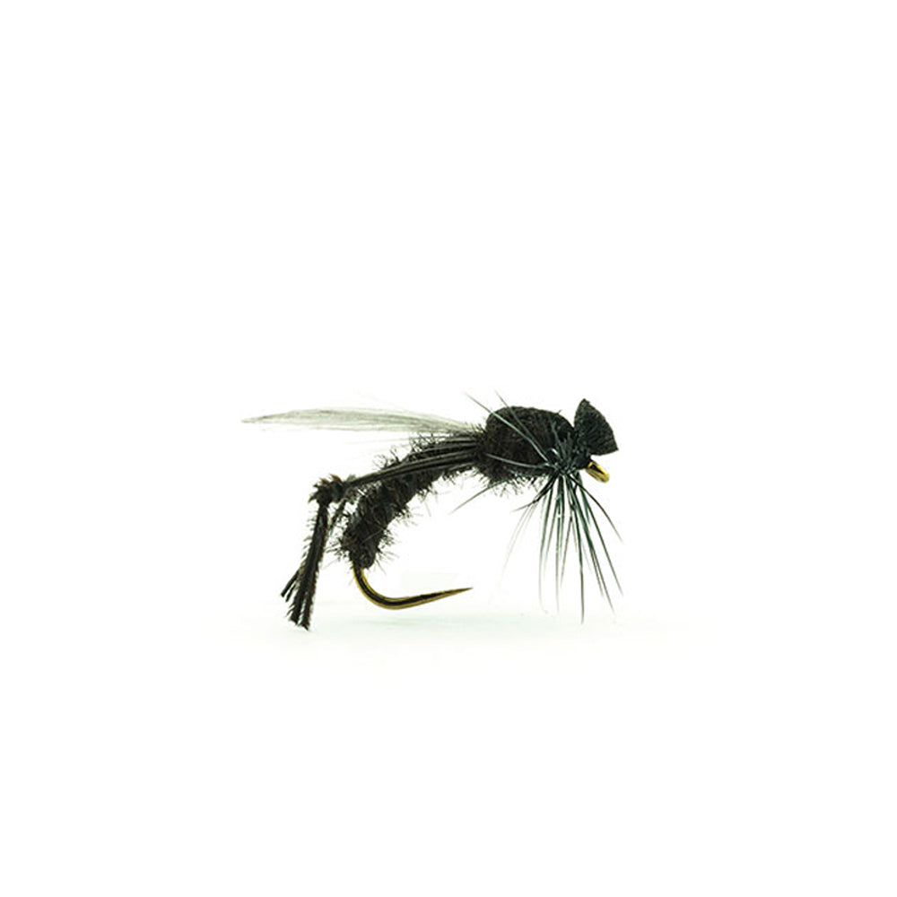 DEVAUX Landfliegen-Bibio JBBM 01