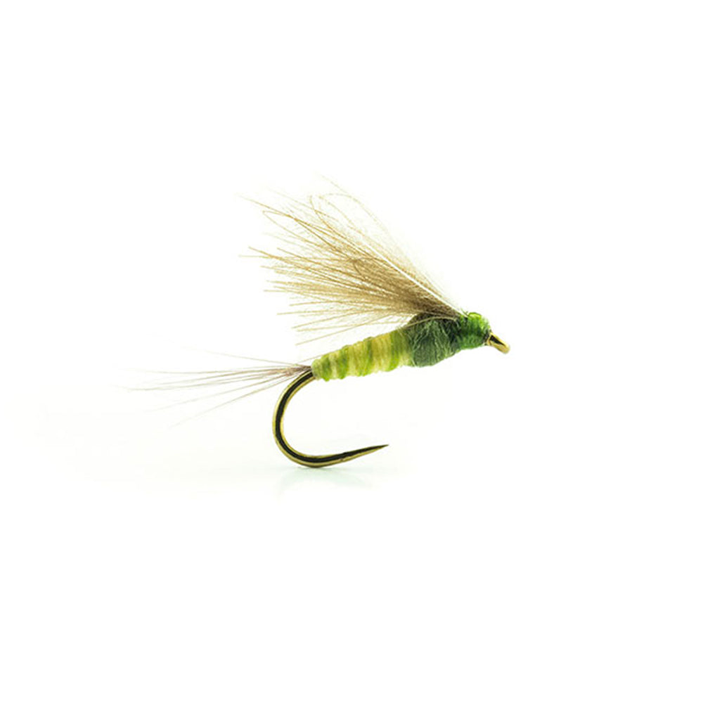 DEVAUX Fly Emerging JBE 04