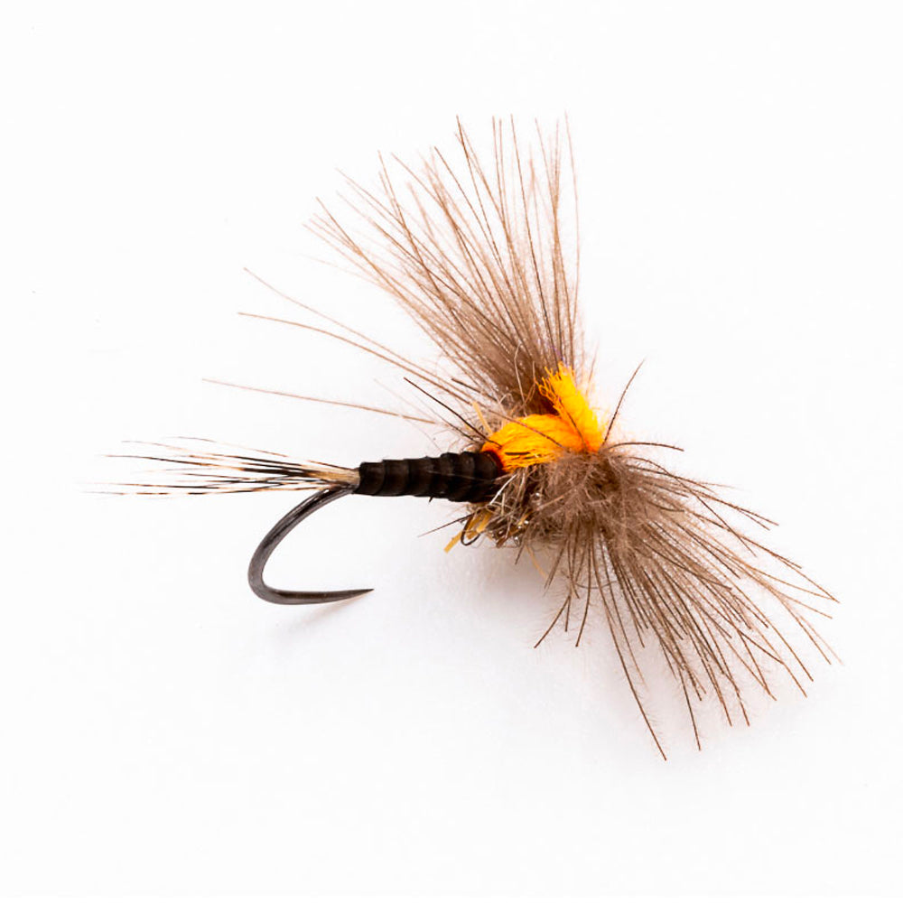 DEVAUX Fly Emerging JBE 05 N