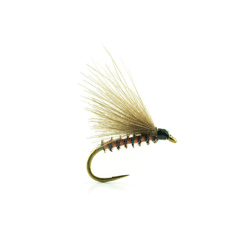 DEVAUX Fly Emerging JBE 21