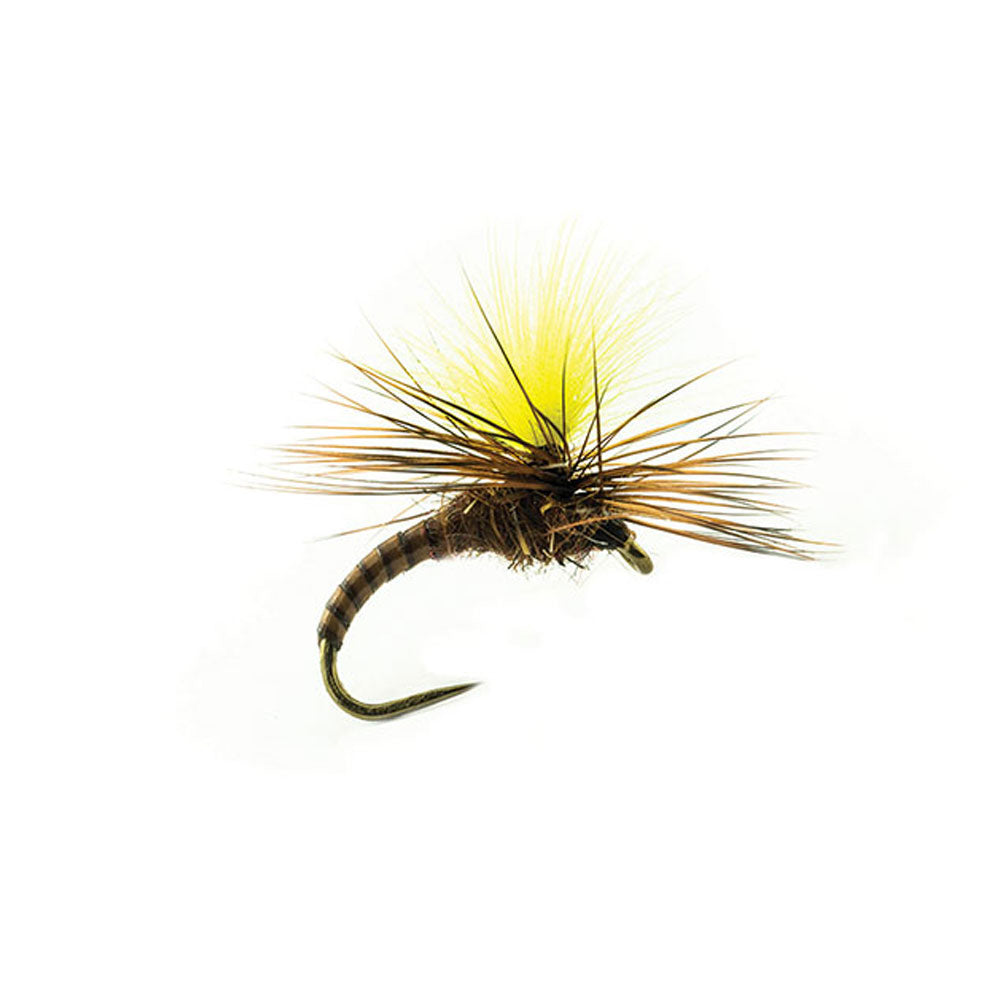 DEVAUX JBE 40 Parachute Fly