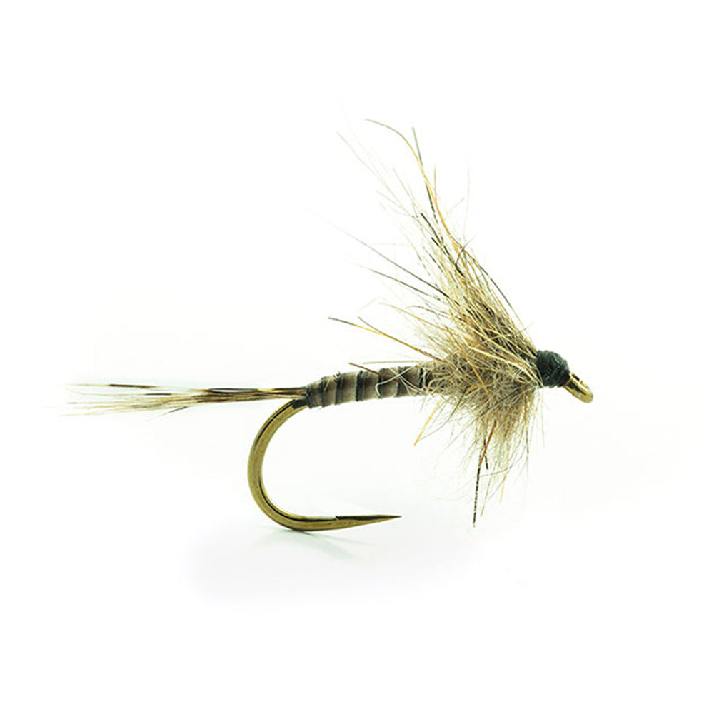 DEVAUX Fly Emerging JBE 48