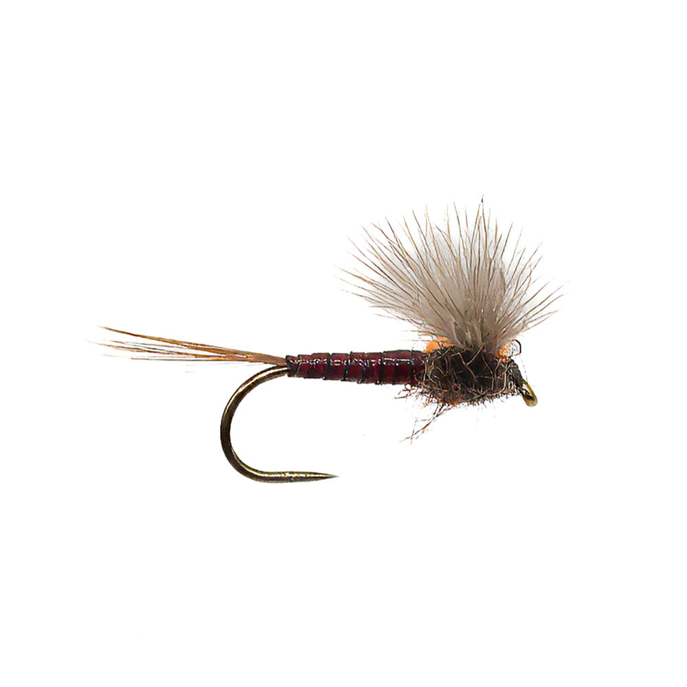 DEVAUX Fly Emerging JBE 05 QR
