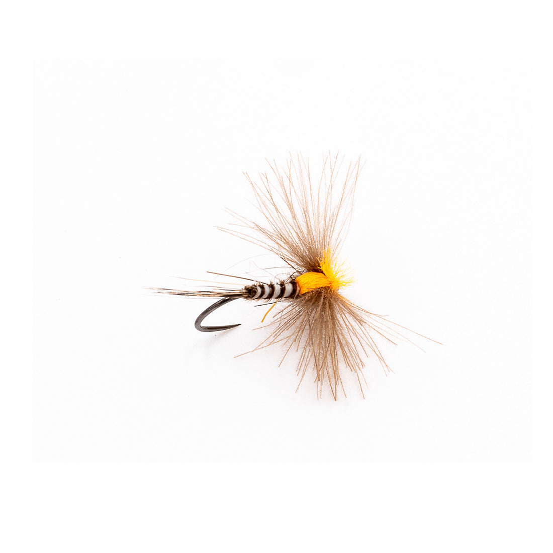 DEVAUX Fly Emerging JBE 08
