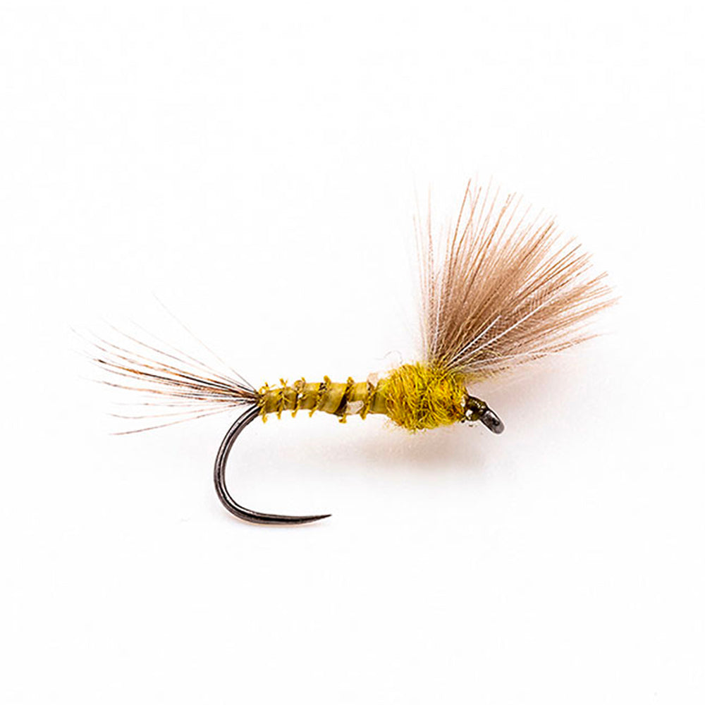 DEVAUX Fly Emerging JBE 11