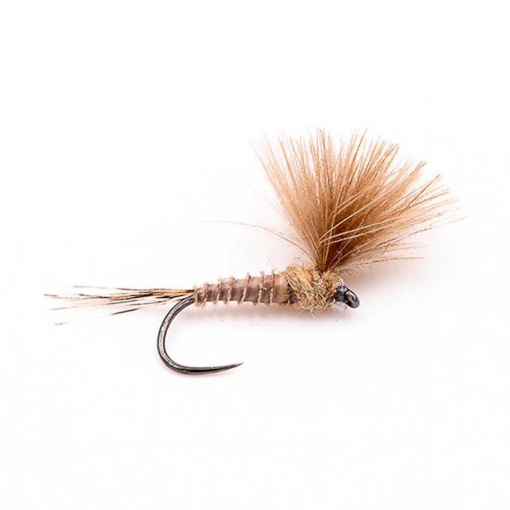 DEVAUX Fly Emerging JBE 12