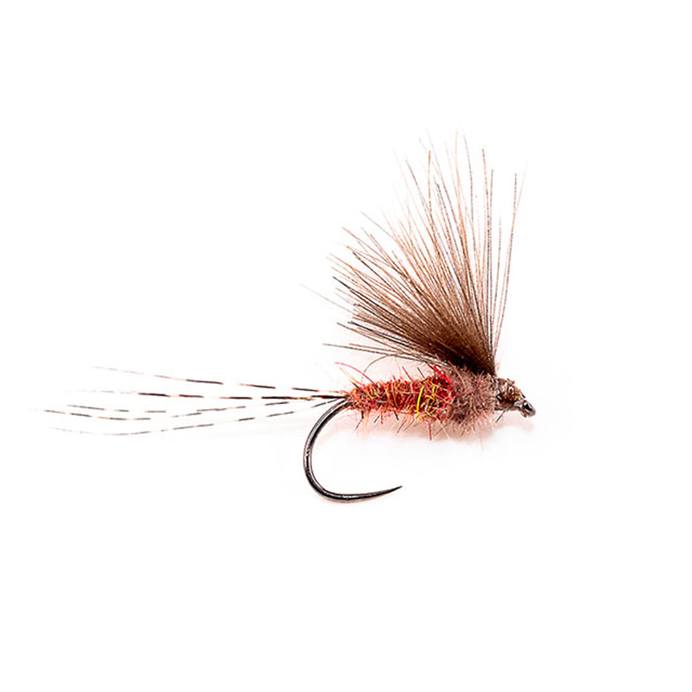 DEVAUX Fly Emerging JBE 51