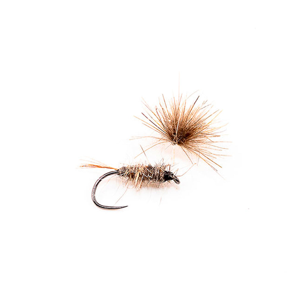 DEVAUX Emerging Fly JBE 60