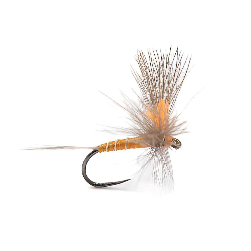 DEVAUX JBE 81 Emergent Fly