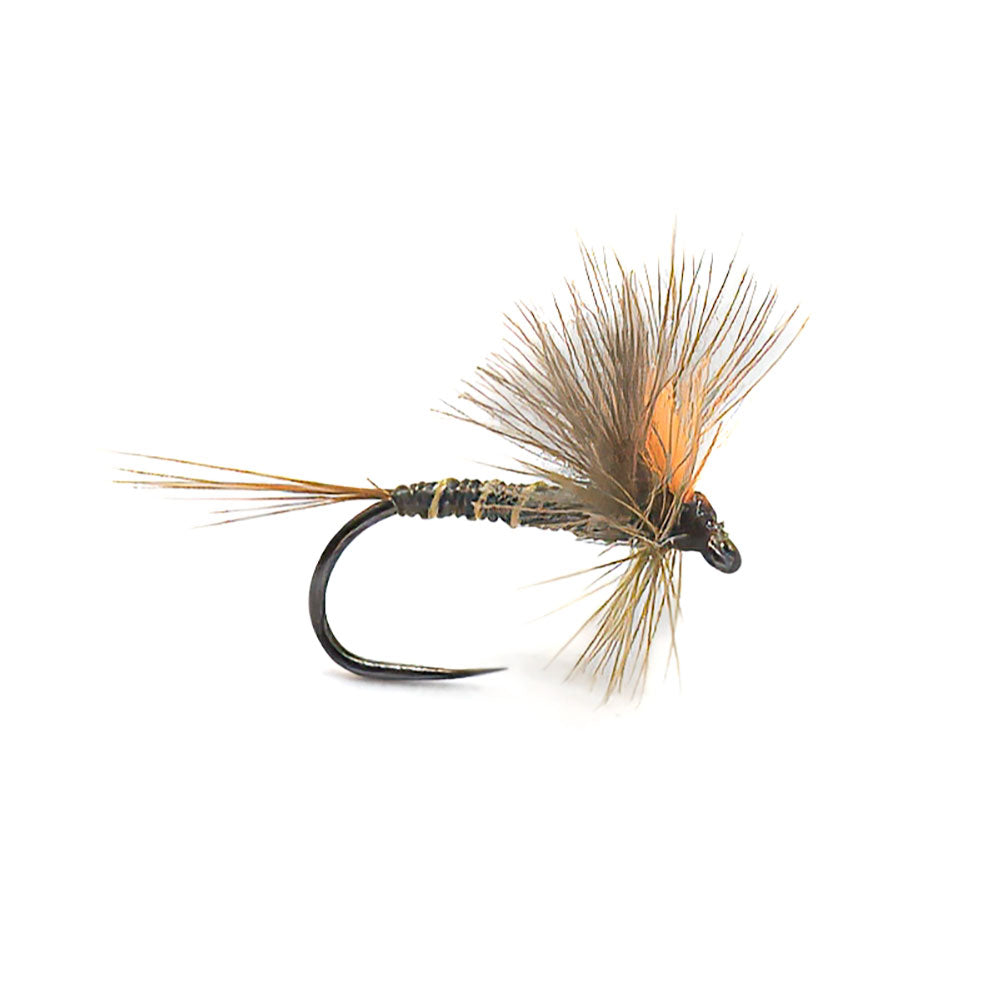 DEVAUX Emerging Fly JBE 84