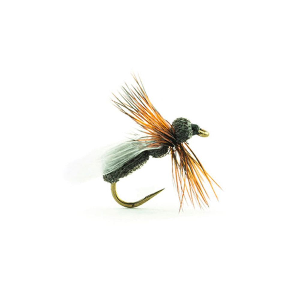 DEVAUX Fliege, Bodenameise, JBF 01