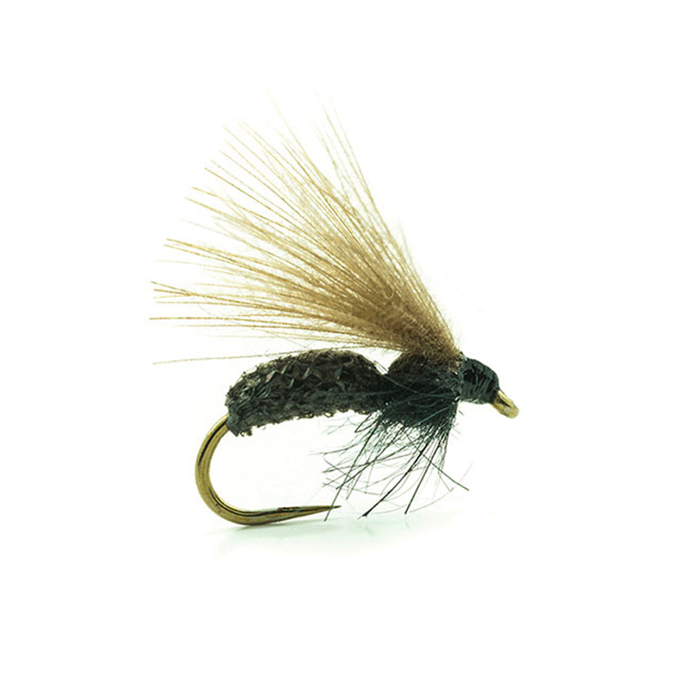Mouche DEVAUX Terrestre JBF 03