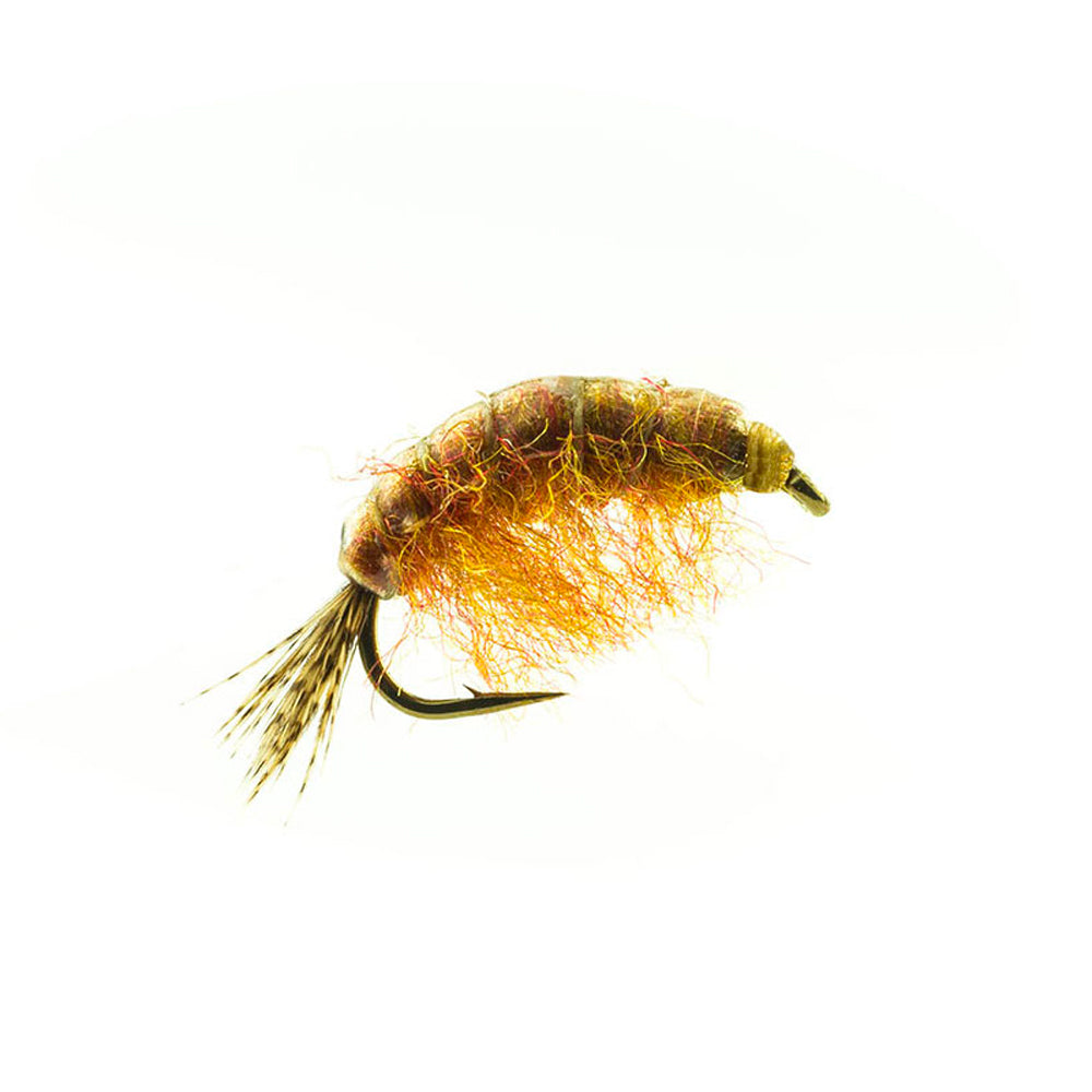 DEVAUX Fly Gammarus JBG 02
