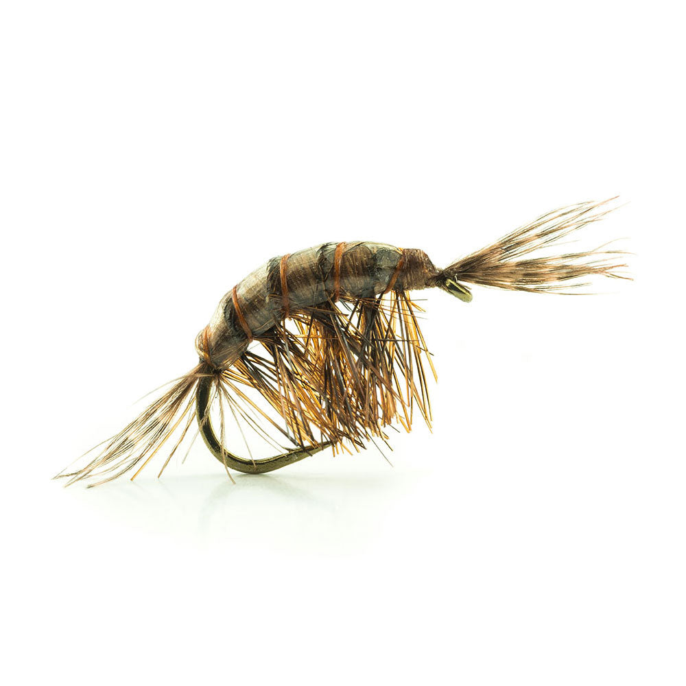 DEVAUX fly, JBGL Gammarus 10