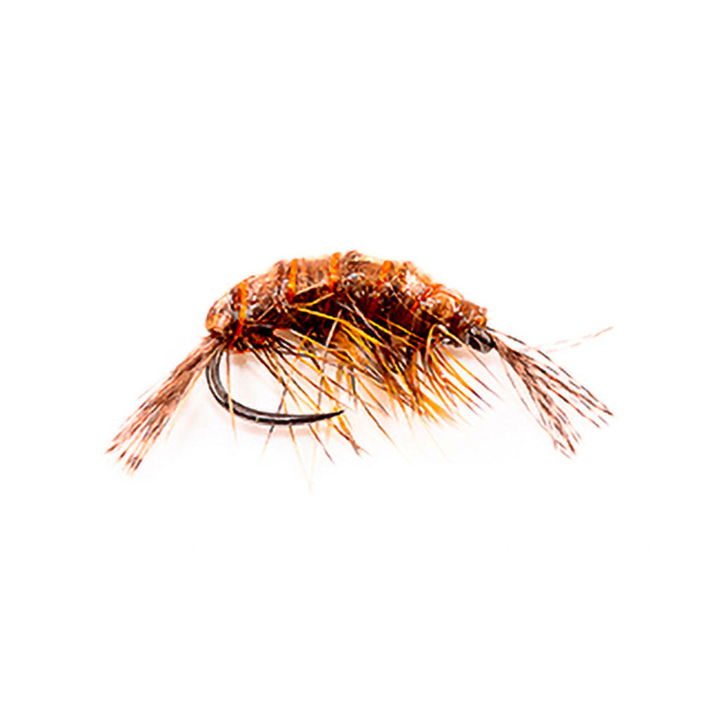 DEVAUX fly Gammarus JBGL 11