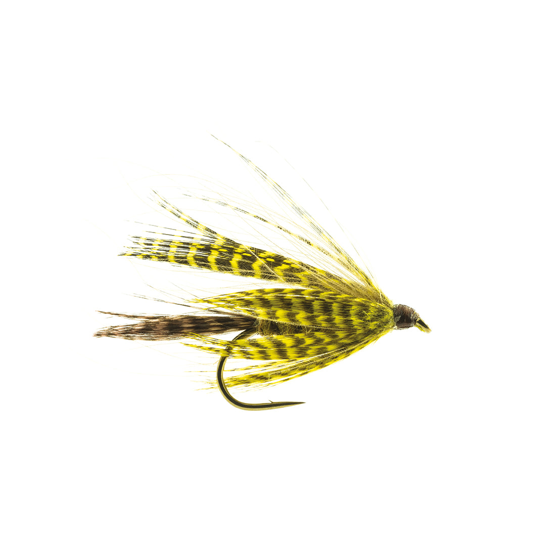 DEVAUX Fly Emerging JBMAI 02