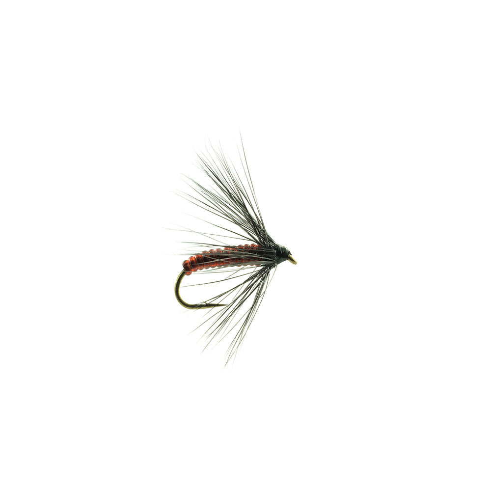 Drowned DEVAUX Fly JBNO 03