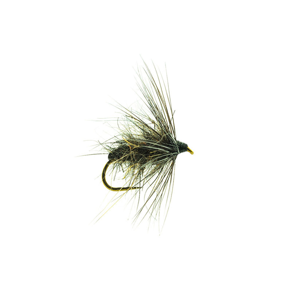 Drowned DEVAUX Fly JBNO 05