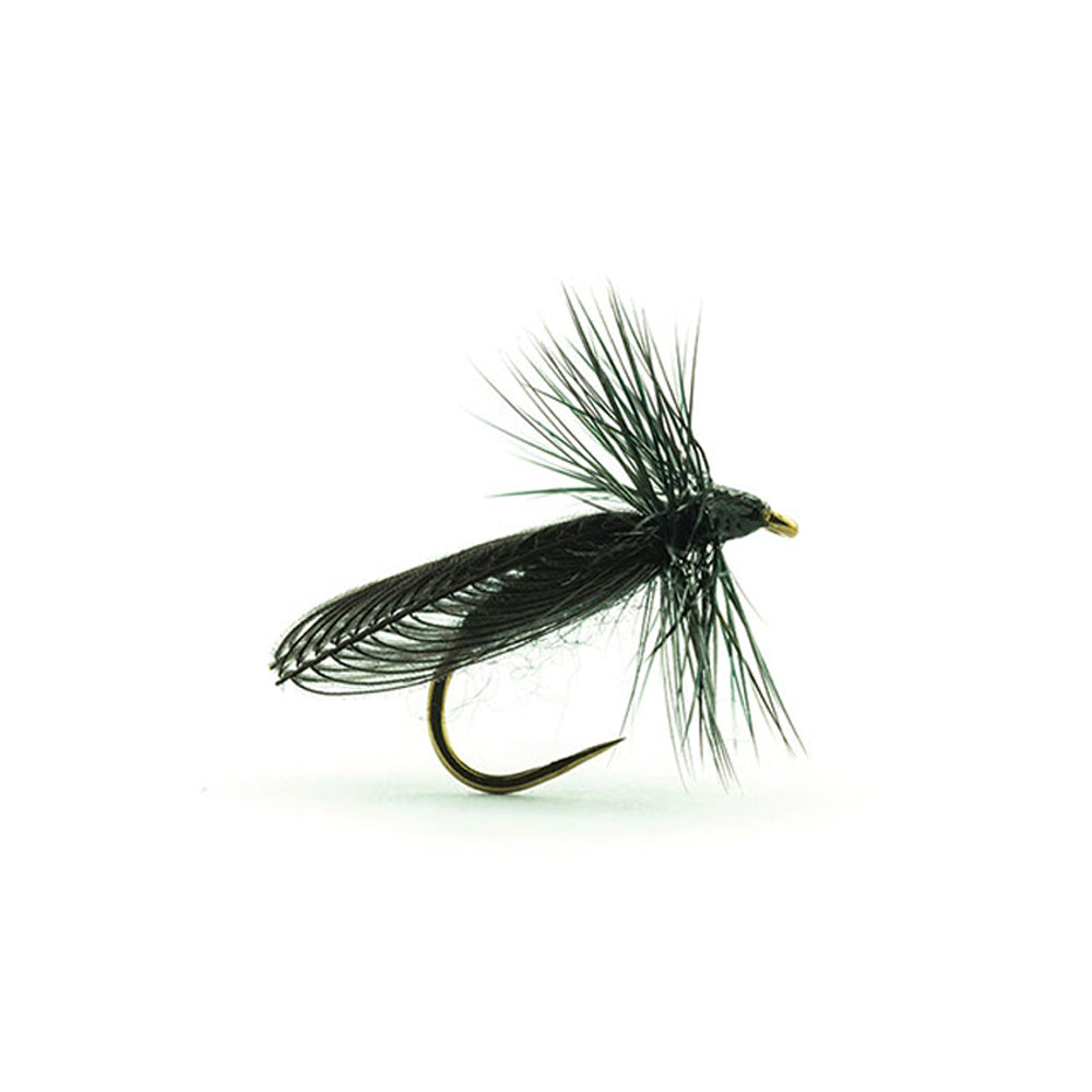 DEVAUX Ground Fly JBSIAL 01