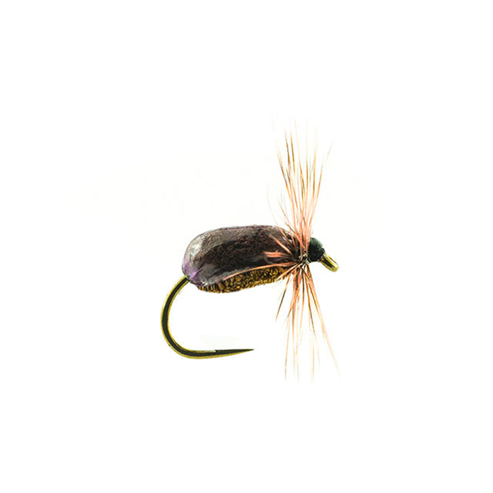 DEVAUX Landfliege JBT 01