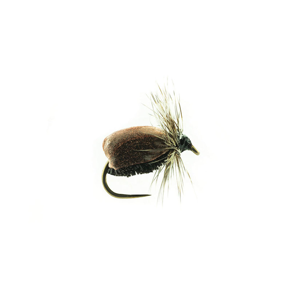 DEVAUX Terrestrial Fly JBT 03