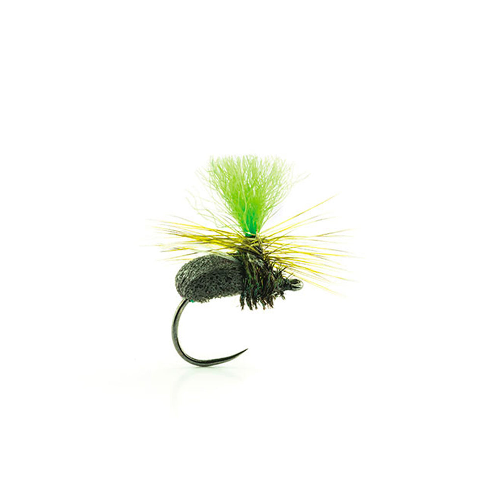 DEVAUX Terrestrial Fly JBT 04
