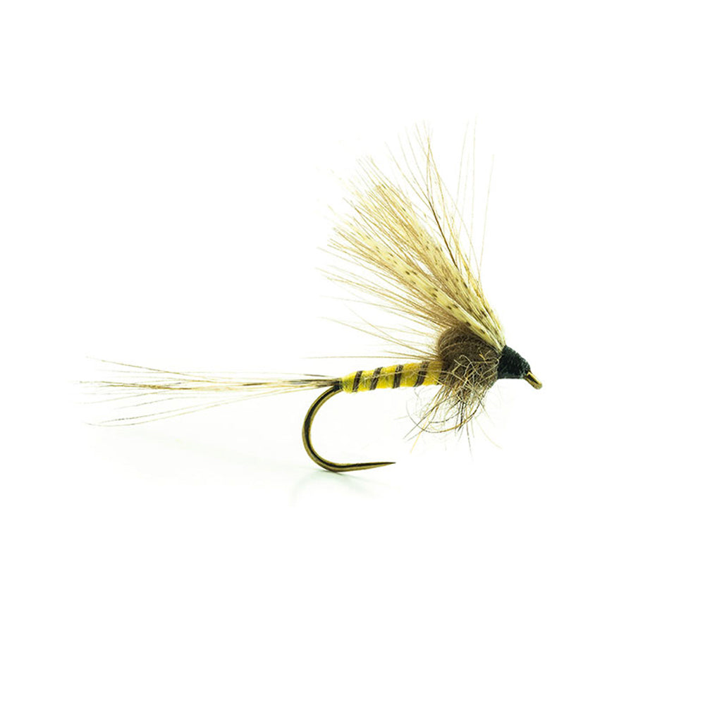 DEVAUX Fly Emerging MAY 01