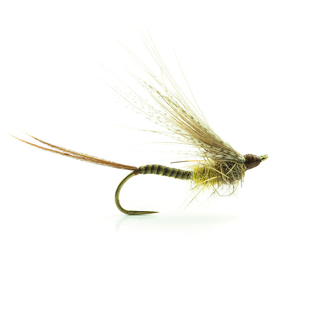 DEVAUX Fly Emerging May 03