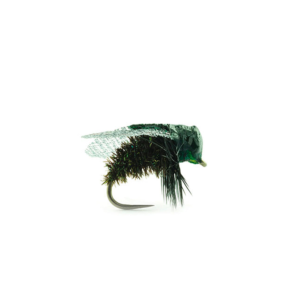 DEVAUX Terrestrial Fly MAV 01
