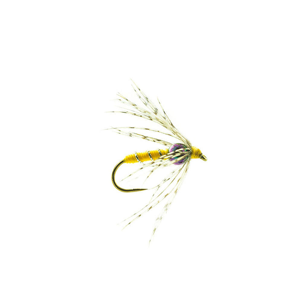 Drowned DEVAUX Fly NTT 02