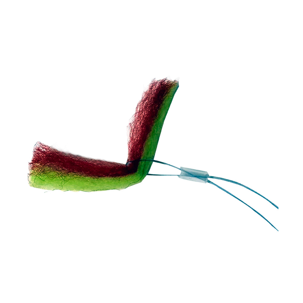 Nymphe'indicator Assortiment DEVAUX
