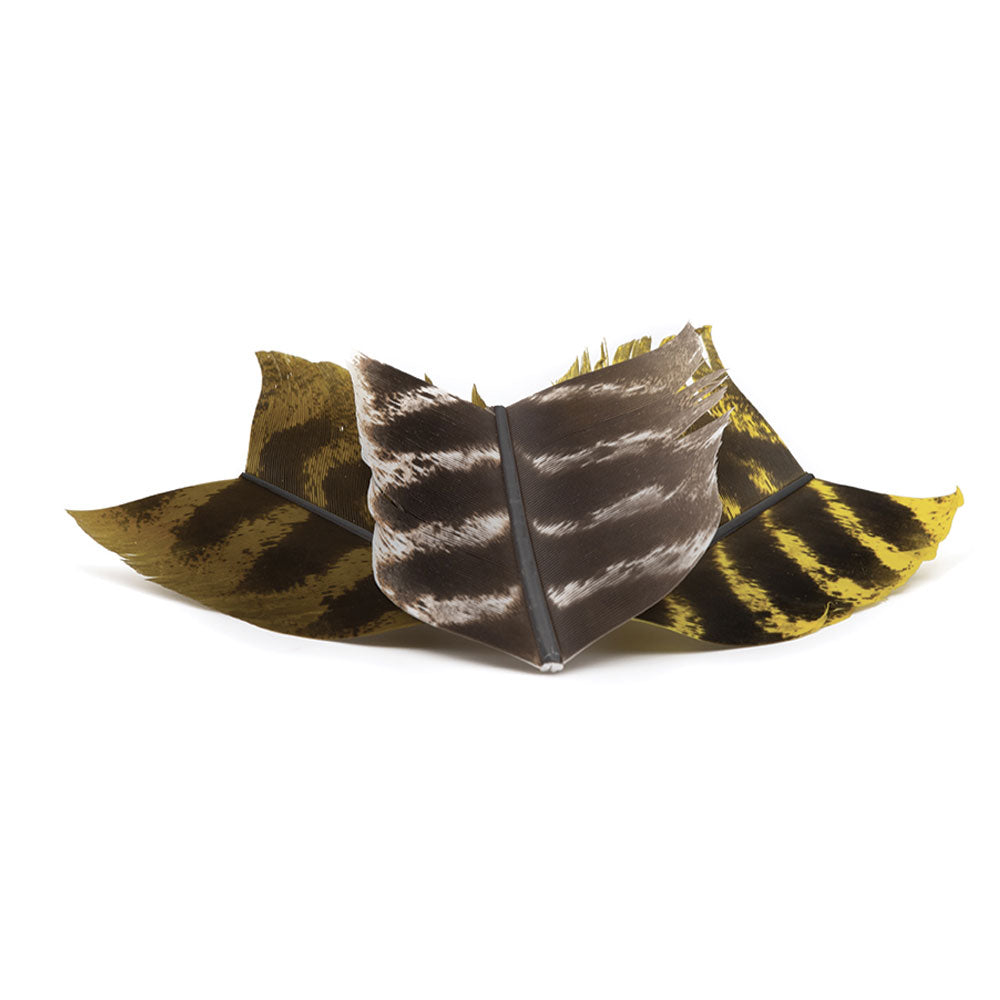 Ozark quill DEVAUX