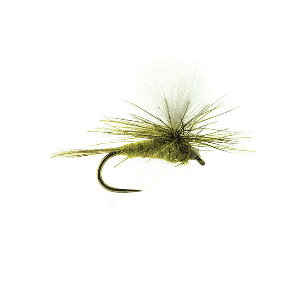 DEVAUX Parachute P 02C Fly